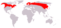 Moose range map