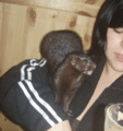 Thumbnail for version as of 15:31, 19 June 2008