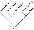 Thumbnail for version as of 17:37, 24 December 2007
