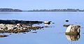 Thumbnail for version as of 08:41, 14 January 2006