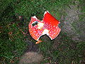 Thumbnail for version as of 13:34, 7 November 2008
