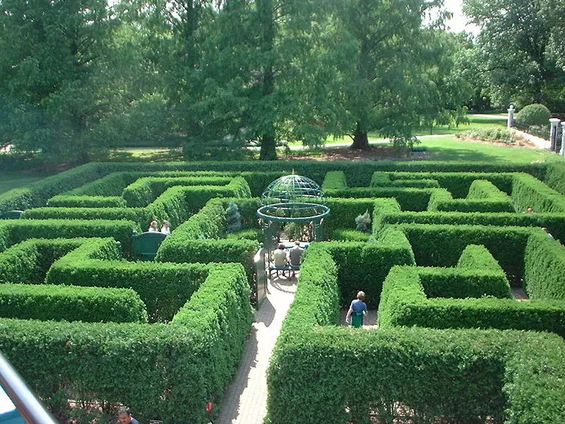 File:Maze.JPG