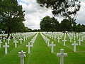 Thumbnail for version as of 20:19, 12 December 2007