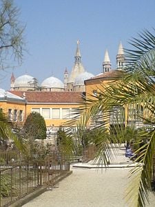 The Botanical Garden of Padova today; in the background, the Basilica of Sant'Antonio.