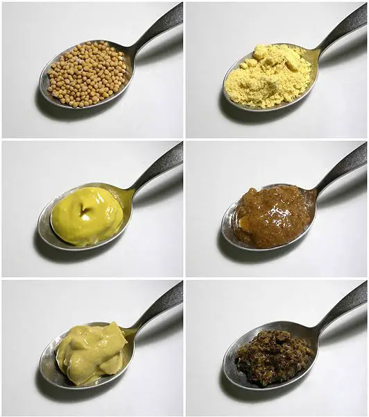 File:Senf-Variationen edit2.jpg