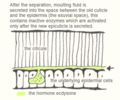 Thumbnail for version as of 14:09, 23 December 2006