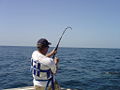 Thumbnail for version as of 03:33, 30 July 2007