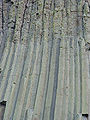 Thumbnail for version as of 03:35, 18 July 2008
