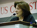 Thumbnail for version as of 21:46, 15 December 2007