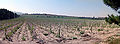 Thumbnail for version as of 04:10, 22 July 2006
