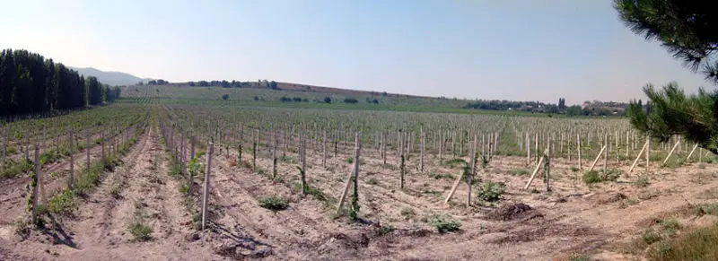 File:Valley of death.jpg