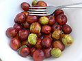 Thumbnail for version as of 20:01, 13 April 2008
