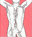 Thumbnail for version as of 15:11, 6 May 2006