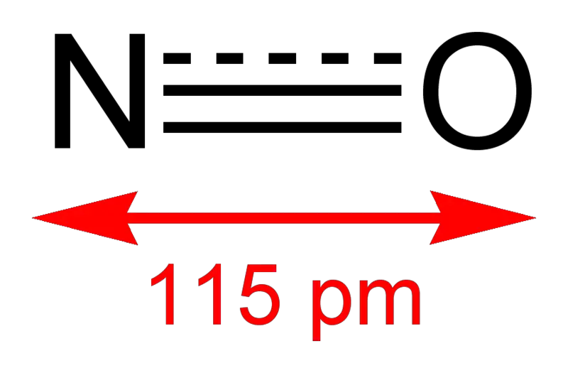 File:Nitric-oxide-2D.png