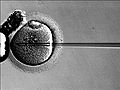 Thumbnail for version as of 17:30, 3 November 2007