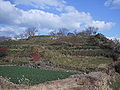 Thumbnail for version as of 01:56, 9 September 2008