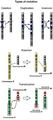 Thumbnail for version as of 00:26, 20 December 2007
