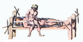 Thumbnail for version as of 22:52, 21 October 2007