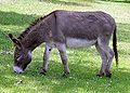 Thumbnail for version as of 14:21, 8 July 2006