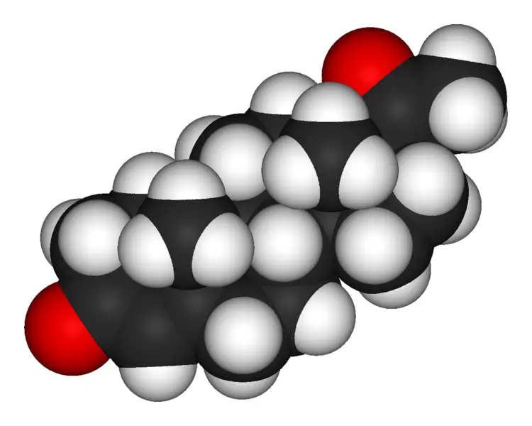 File:Progesterone-3D-vdW.png
