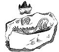 Thumbnail for version as of 02:22, 5 April 2007