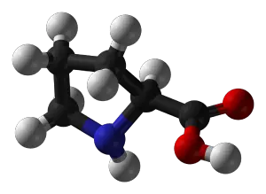 Proline - New World Encyclopedia