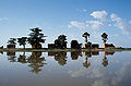 Thumbnail for version as of 03:08, 17 March 2007
