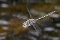 Thumbnail for version as of 06:26, 11 November 2008