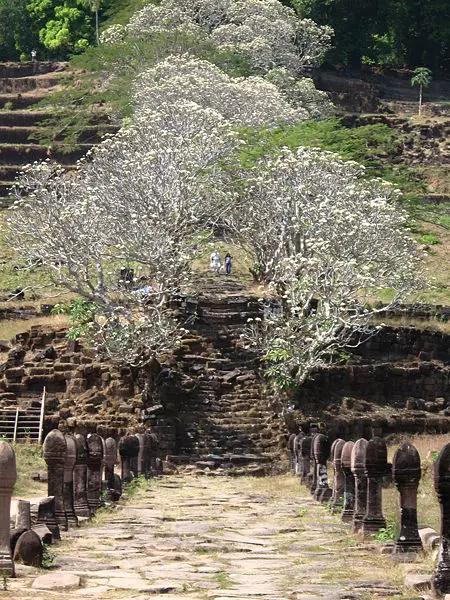 File:Vat Phu.jpg