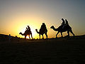 Thumbnail for version as of 23:24, 12 May 2008
