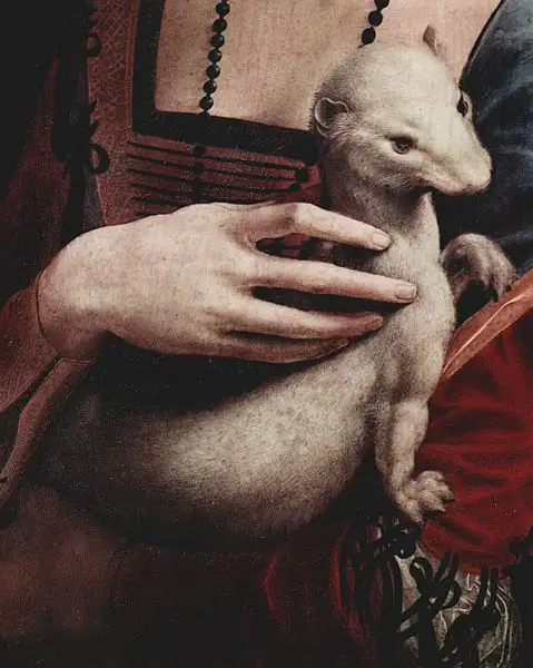 File:Leonardo da Vinci 047.jpg