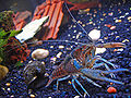 Thumbnail for version as of 20:39, 3 August 2008