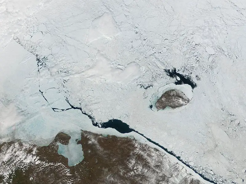 File:Wrangelisland.jpg