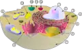 Thumbnail for version as of 15:53, 26 July 2007
