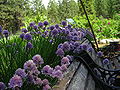 Thumbnail for version as of 02:17, 6 April 2008