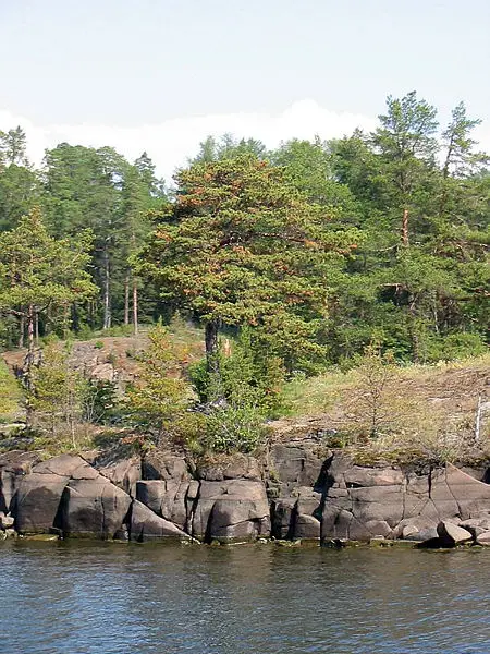 File:Priroda Valaamskogo arhipelaga.jpg