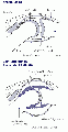 Thumbnail for version as of 02:11, 14 September 2007