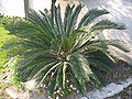 Thumbnail for version as of 18:41, 16 July 2006