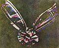 Thumbnail for version as of 03:55, 28 March 2007