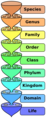 Thumbnail for version as of 22:26, 1 May 2008