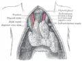 Thumbnail for version as of 02:32, 9 May 2007