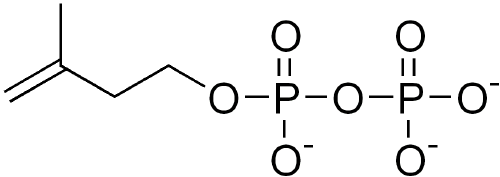 Terpene - New World Encyclopedia