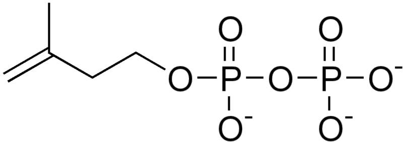 File:IPP.png