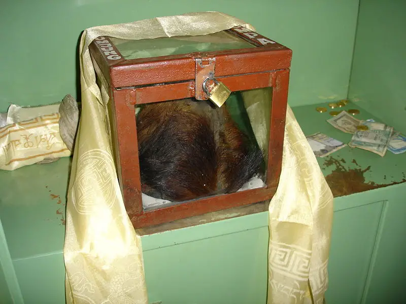 File:Yetiscalp.JPG