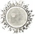Thumbnail for version as of 20:43, 7 August 2007