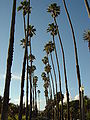 Thumbnail for version as of 17:46, 16 July 2006
