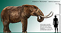 Thumbnail for version as of 21:54, 16 May 2008