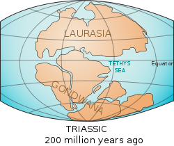 Laurasia-Gondwana.svg