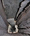 Thumbnail for version as of 13:44, 5 October 2007