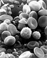 Thumbnail for version as of 02:40, 19 March 2007